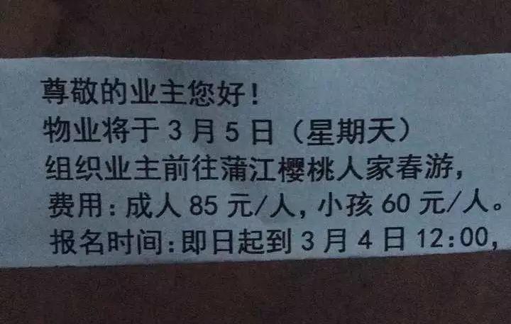 干货：这种做地推发传单的思路太实用了！(深度超赞) | 高臻臻的脑细胞