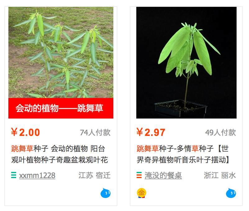 营销干货：用小动物来帮你免费做宣传（绝了） | 高臻臻的脑细胞
