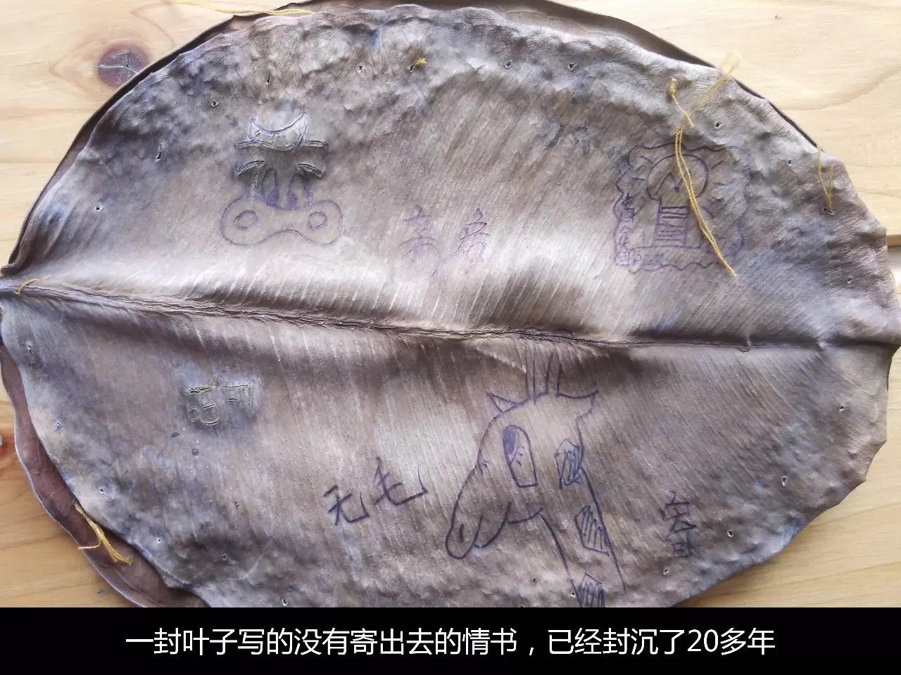 我是如何在女生前后夹击的情况下，悟出商业本质的 | 高臻臻的脑细胞