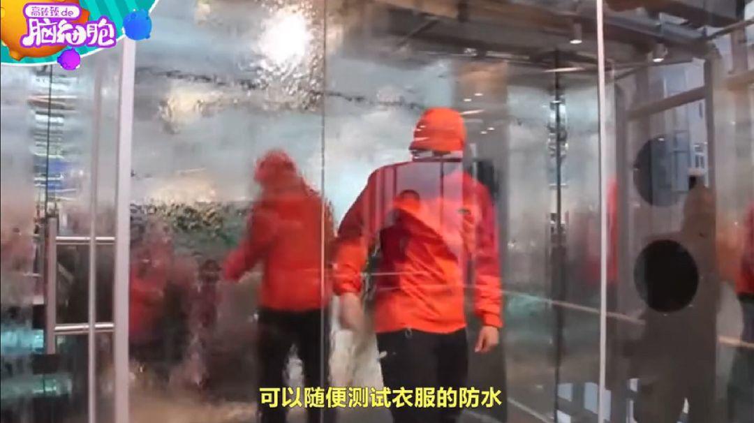 实体店的死期将至，如何寻找出路(二) | 高臻臻的脑细胞